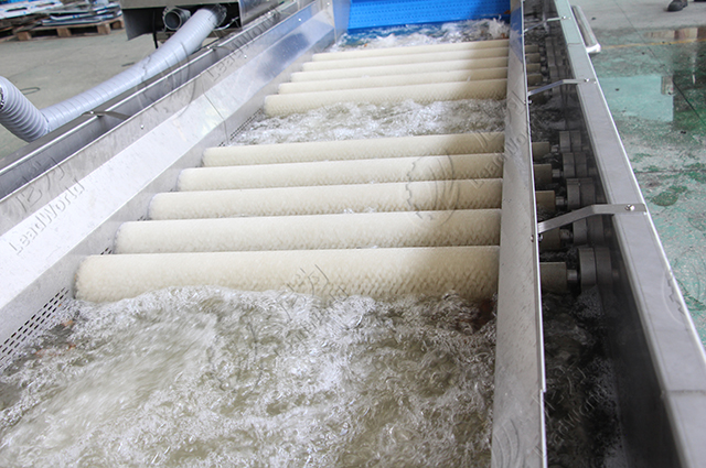 鼓泡清洗機(jī)（帶毛滾）