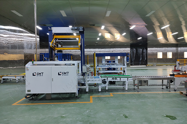 紙箱碼垛機(jī)